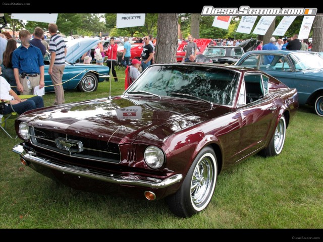 Ford Mustang Shorty 1964 Picture #11 Ford Mustang Shorty 1964 Picture #11