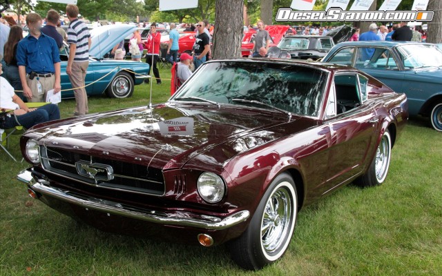 Ford Mustang Shorty 1964 Widescreen Picture #6 Ford Mustang Shorty 1964 Widescreen Picture #6