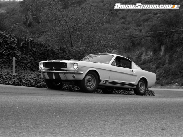 Ford Shelby GT350 Mustang 1964 Picture #2 Ford Shelby GT350 Mustang 1964 Picture #2