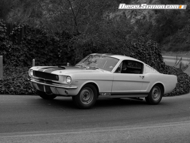 Ford Shelby GT350 Mustang 1964 Picture #26 Ford Shelby GT350 Mustang 1964 Picture #26
