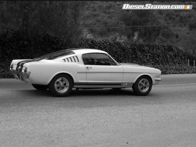 Ford Shelby GT350 Mustang 1964 Picture #7 Ford Shelby GT350 Mustang 1964 Picture #7