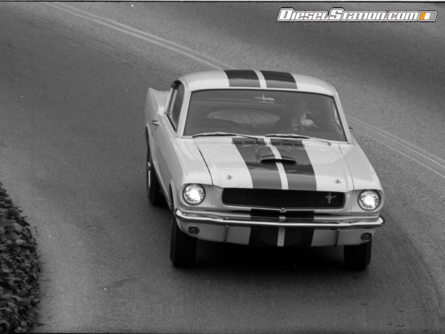 Ford Shelby GT350 Mustang 1964 Picture #30 Ford Shelby GT350 Mustang 1964 Picture #30