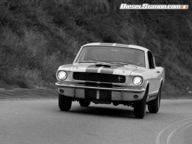 Ford Shelby GT350 Mustang 1964 Picture #11 Ford Shelby GT350 Mustang 1964 Picture #11