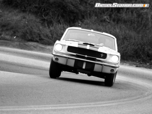 Ford Shelby GT350 Mustang 1964 Picture #14 Ford Shelby GT350 Mustang 1964 Picture #14