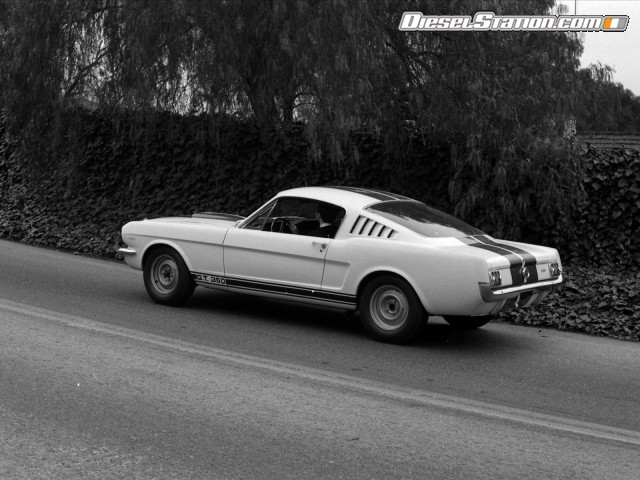Ford Shelby GT350 Mustang 1964 Picture #24 Ford Shelby GT350 Mustang 1964 Picture #24