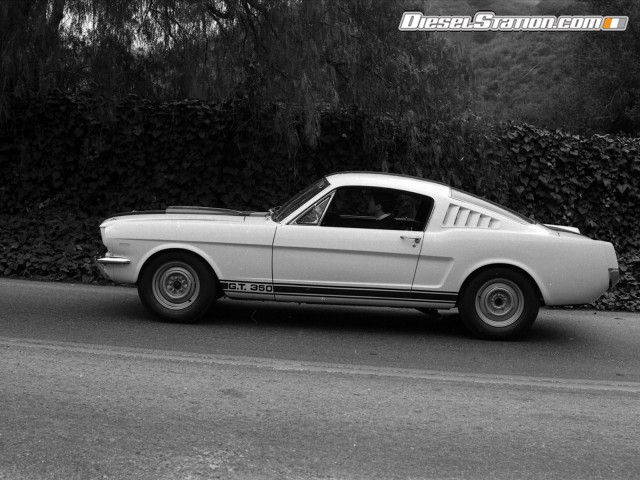 Ford Shelby GT350 Mustang 1964 Picture #18 Ford Shelby GT350 Mustang 1964 Picture #18