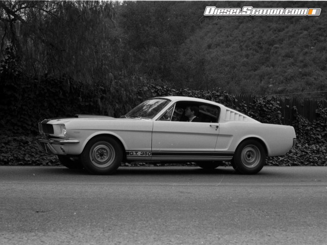 Ford Shelby GT350 Mustang 1964 Picture #25 Ford Shelby GT350 Mustang 1964 Picture #25