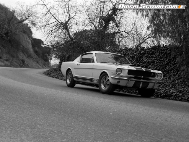 Ford Shelby GT350 Mustang 1964 Picture #10 Ford Shelby GT350 Mustang 1964 Picture #10