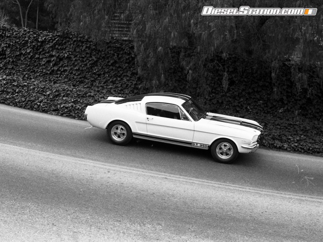 Ford Shelby GT350 Mustang 1964 Picture #8 Ford Shelby GT350 Mustang 1964 Picture #8
