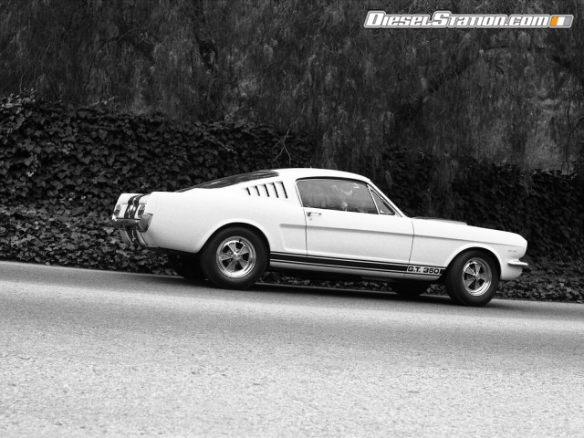 Ford Shelby GT350 Mustang 1964 Picture #33 Ford Shelby GT350 Mustang 1964 Picture #33