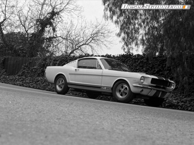 Ford Shelby GT350 Mustang 1964 Picture #29 Ford Shelby GT350 Mustang 1964 Picture #29