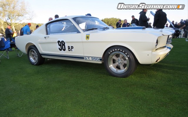 Ford Shelby GT350 Mustang 1964 Widescreen Picture #6 Ford Shelby GT350 Mustang 1964 Widescreen Picture #6