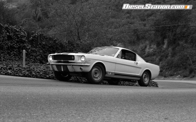 Ford Shelby GT350 Mustang 1964 Widescreen Picture #5 Ford Shelby GT350 Mustang 1964 Widescreen Picture #5