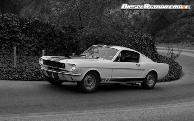 Ford Shelby GT350 Mustang 1964 Widescreen Picture #17 Ford Shelby GT350 Mustang 1964 Widescreen Picture #17
