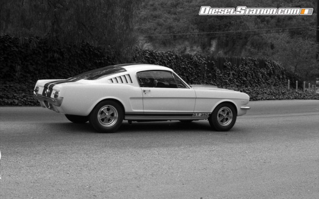 Ford Shelby GT350 Mustang 1964 Widescreen Picture #16 Ford Shelby GT350 Mustang 1964 Widescreen Picture #16