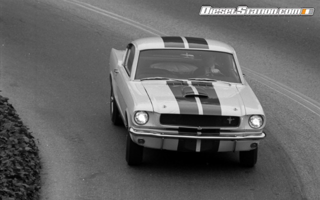 Ford Shelby GT350 Mustang 1964 Widescreen Picture #15 Ford Shelby GT350 Mustang 1964 Widescreen Picture #15