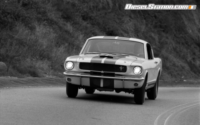 Ford Shelby GT350 Mustang 1964 Widescreen Picture #27 Ford Shelby GT350 Mustang 1964 Widescreen Picture #27
