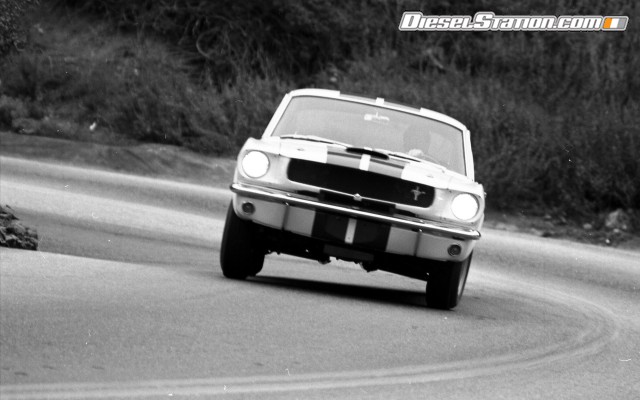 Ford Shelby GT350 Mustang 1964 Widescreen Picture #13 Ford Shelby GT350 Mustang 1964 Widescreen Picture #13