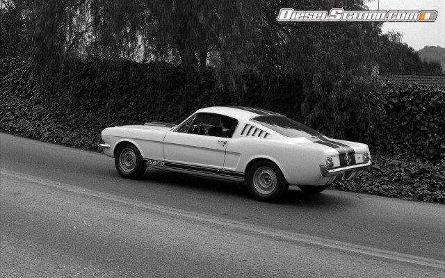 Ford Shelby GT350 Mustang 1964 Widescreen Picture #12 Ford Shelby GT350 Mustang 1964 Widescreen Picture #12