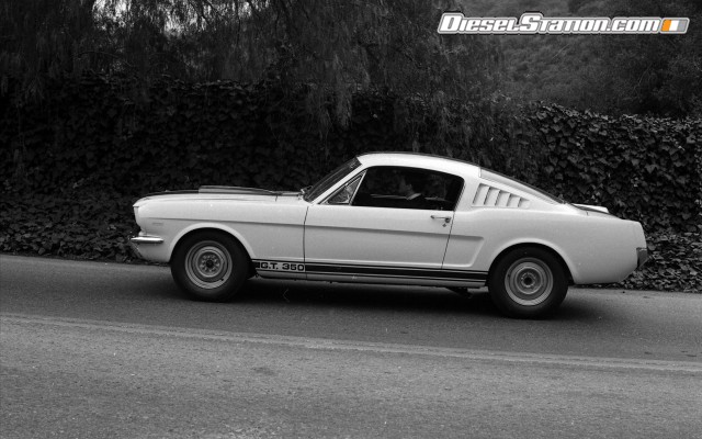 Ford Shelby GT350 Mustang 1964 Widescreen Picture #28 Ford Shelby GT350 Mustang 1964 Widescreen Picture #28