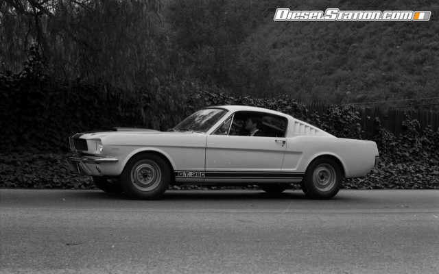 Ford Shelby GT350 Mustang 1964 Widescreen Picture #22 Ford Shelby GT350 Mustang 1964 Widescreen Picture #22