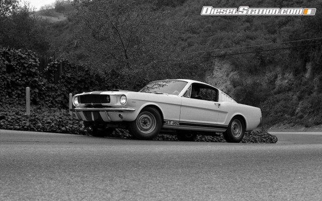 Ford Shelby GT350 Mustang 1964 Widescreen Picture #1 Ford Shelby GT350 Mustang 1964 Widescreen Picture #1