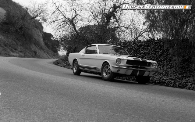 Ford Shelby GT350 Mustang 1964 Widescreen Picture #23 Ford Shelby GT350 Mustang 1964 Widescreen Picture #23