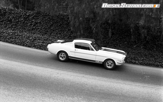 Ford Shelby GT350 Mustang 1964 Widescreen Picture #21 Ford Shelby GT350 Mustang 1964 Widescreen Picture #21