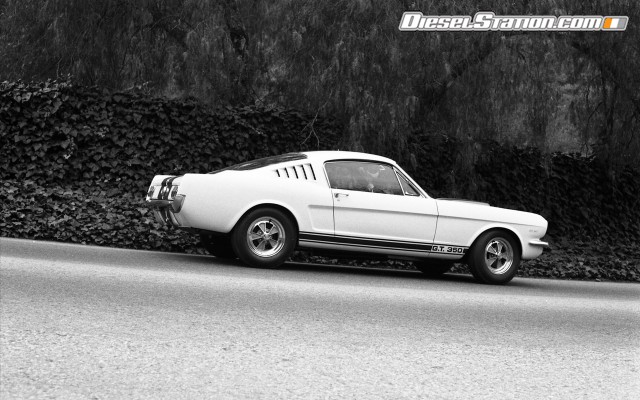 Ford Shelby GT350 Mustang 1964 Widescreen Picture #4 Ford Shelby GT350 Mustang 1964 Widescreen Picture #4
