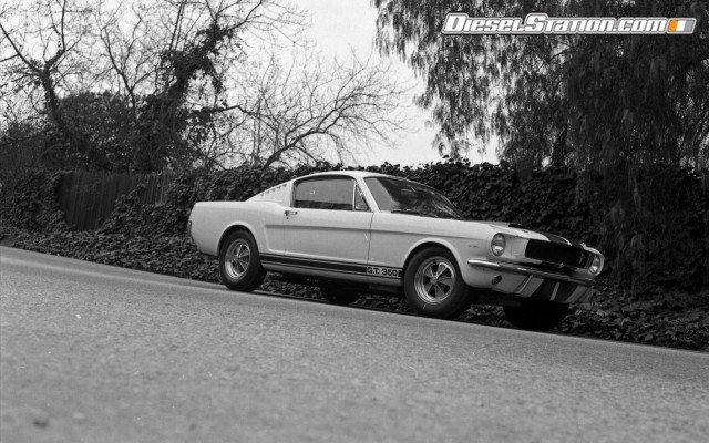 Ford Shelby GT350 Mustang 1964 Widescreen Picture #19 Ford Shelby GT350 Mustang 1964 Widescreen Picture #19