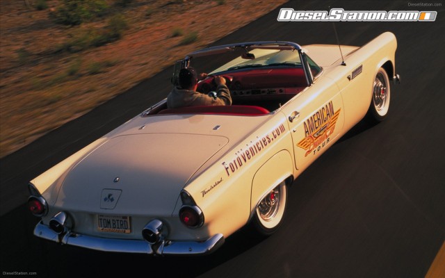 Ford Thunderbird 1956 Widescreen Picture #10 Ford Thunderbird 1956 Widescreen Picture #10