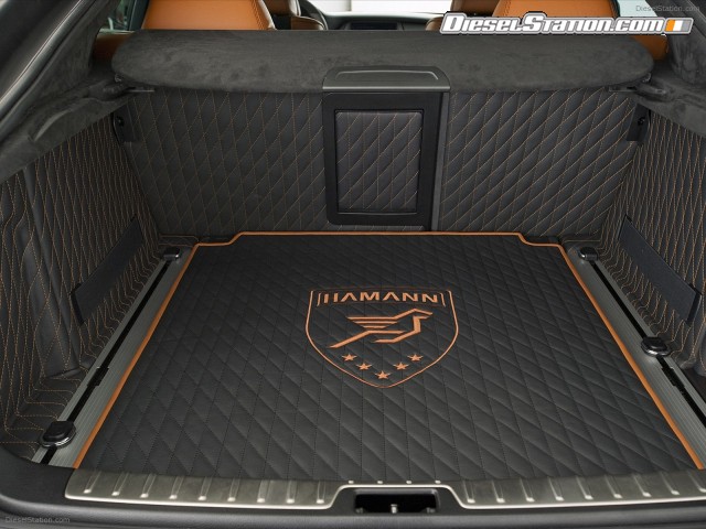 Hamann BMW X6 TYCOON EVO M 2011 Picture #14 Hamann BMW X6 TYCOON EVO M 2011 Picture #14