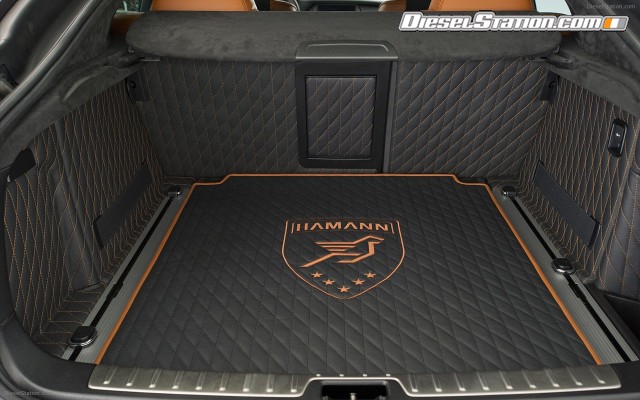 Hamann BMW X6 TYCOON EVO M 2011 Widescreen Picture #8 Hamann BMW X6 TYCOON EVO M 2011 Widescreen Picture #8