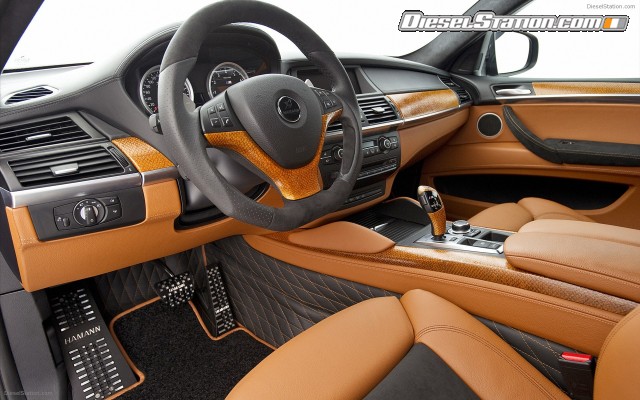 Hamann BMW X6 TYCOON EVO M 2011 Widescreen Picture #22 Hamann BMW X6 TYCOON EVO M 2011 Widescreen Picture #22