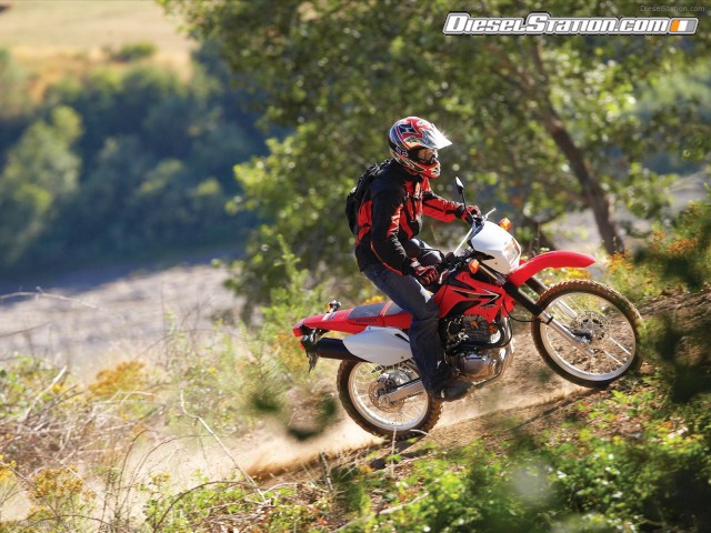 Honda 2009 CRF230L Picture #2 Honda 2009 CRF230L Picture #2