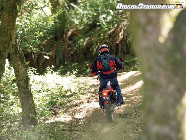 Honda 2009 CRF230L Picture #9 Honda 2009 CRF230L Picture #9