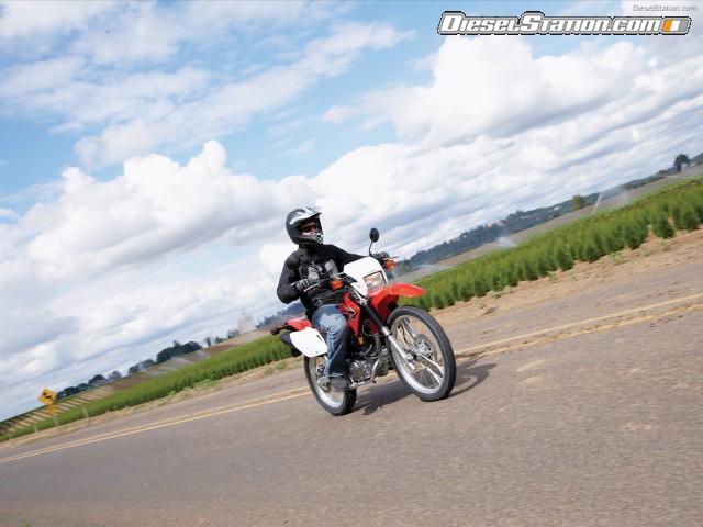 Honda 2009 CRF230L Picture #13 Honda 2009 CRF230L Picture #13