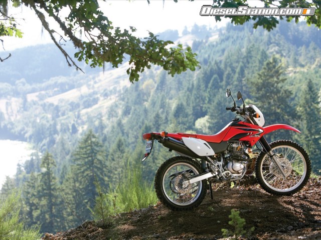 Honda 2009 CRF230L Picture #10 Honda 2009 CRF230L Picture #10
