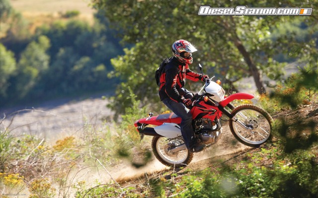 Honda 2009 CRF230L Widescreen Picture #12 Honda 2009 CRF230L Widescreen Picture #12