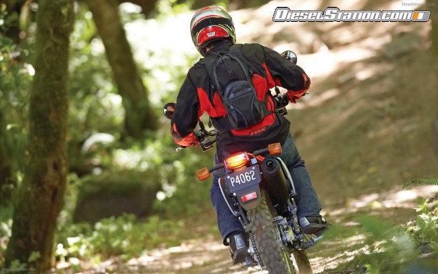 Honda 2009 CRF230L Widescreen Picture #11 Honda 2009 CRF230L Widescreen Picture #11