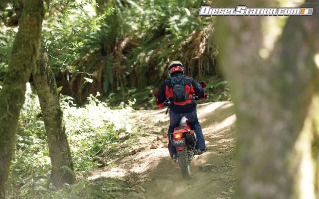 Honda 2009 CRF230L Widescreen Picture #3 Honda 2009 CRF230L Widescreen Picture #3