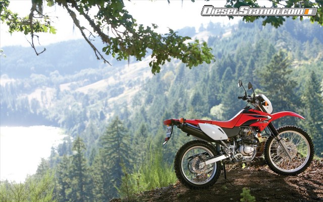 Honda 2009 CRF230L Widescreen Picture #4 Honda 2009 CRF230L Widescreen Picture #4