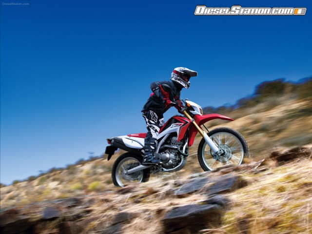 Honda CRF250L 2012 Picture #10 Honda CRF250L 2012 Picture #10