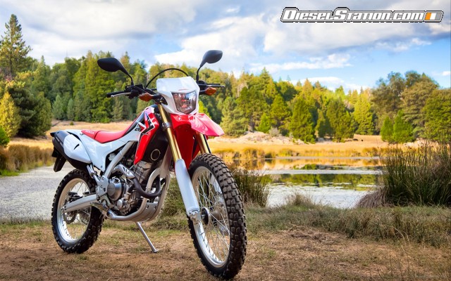 Honda CRF250L 2012 Widescreen Picture #28 Honda CRF250L 2012 Widescreen Picture #28