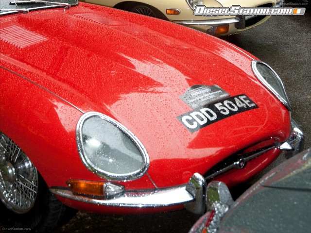 Jaguar E Type 50th Anniversary 1961 Picture #10 Jaguar E Type 50th Anniversary 1961 Picture #10