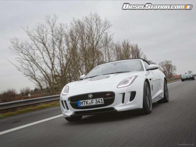 Jaguar F TYPE V8 S sports car 2013 Picture #5 Jaguar F TYPE V8 S sports car 2013 Picture #5