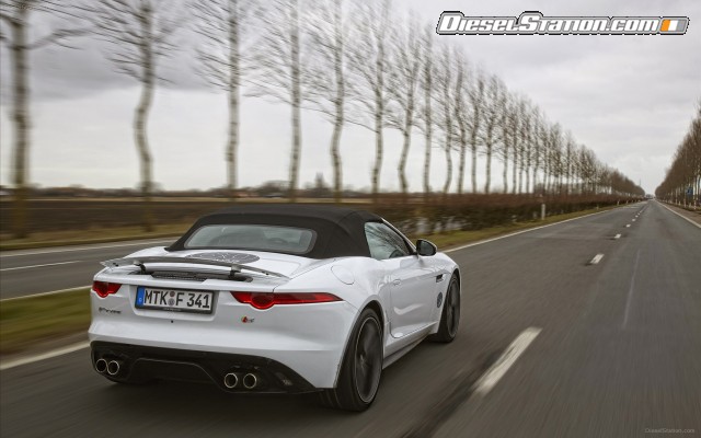 Jaguar F TYPE V8 S sports car 2013 Widescreen Picture #13 Jaguar F TYPE V8 S sports car 2013 Widescreen Picture #13