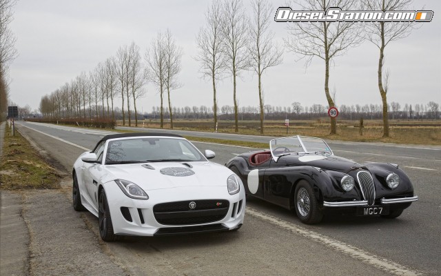 Jaguar F TYPE V8 S sports car 2013 Widescreen Picture #12 Jaguar F TYPE V8 S sports car 2013 Widescreen Picture #12