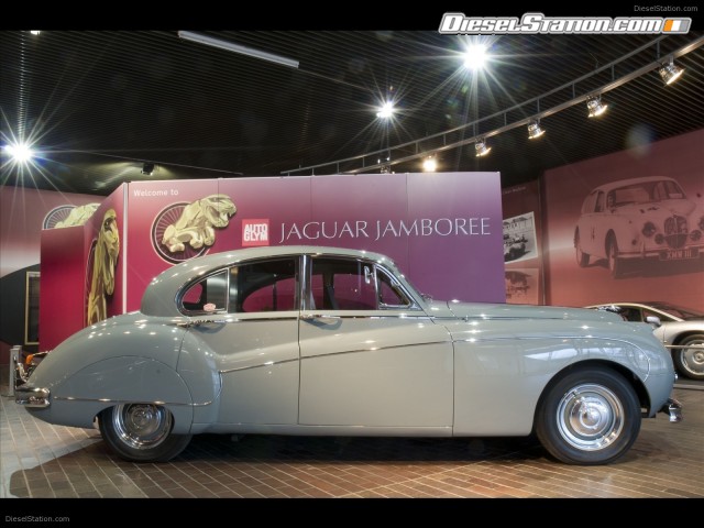 Jaguar Jamboree Picture #5 Jaguar Jamboree Picture #5