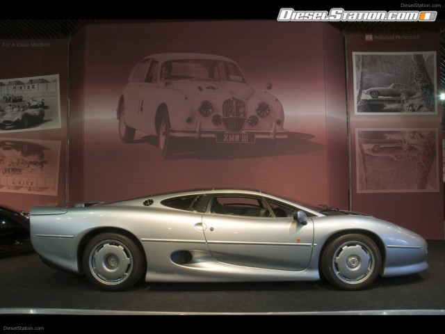 Jaguar Jamboree Picture #0 Jaguar Jamboree Picture #0